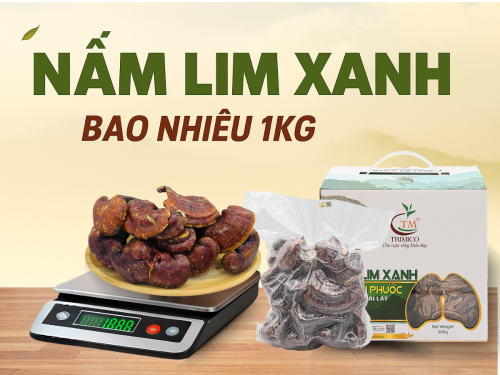Nấm Lim Xanh giá bao nhiêu 1kg? Cập nhật giá mới nhất năm 2025